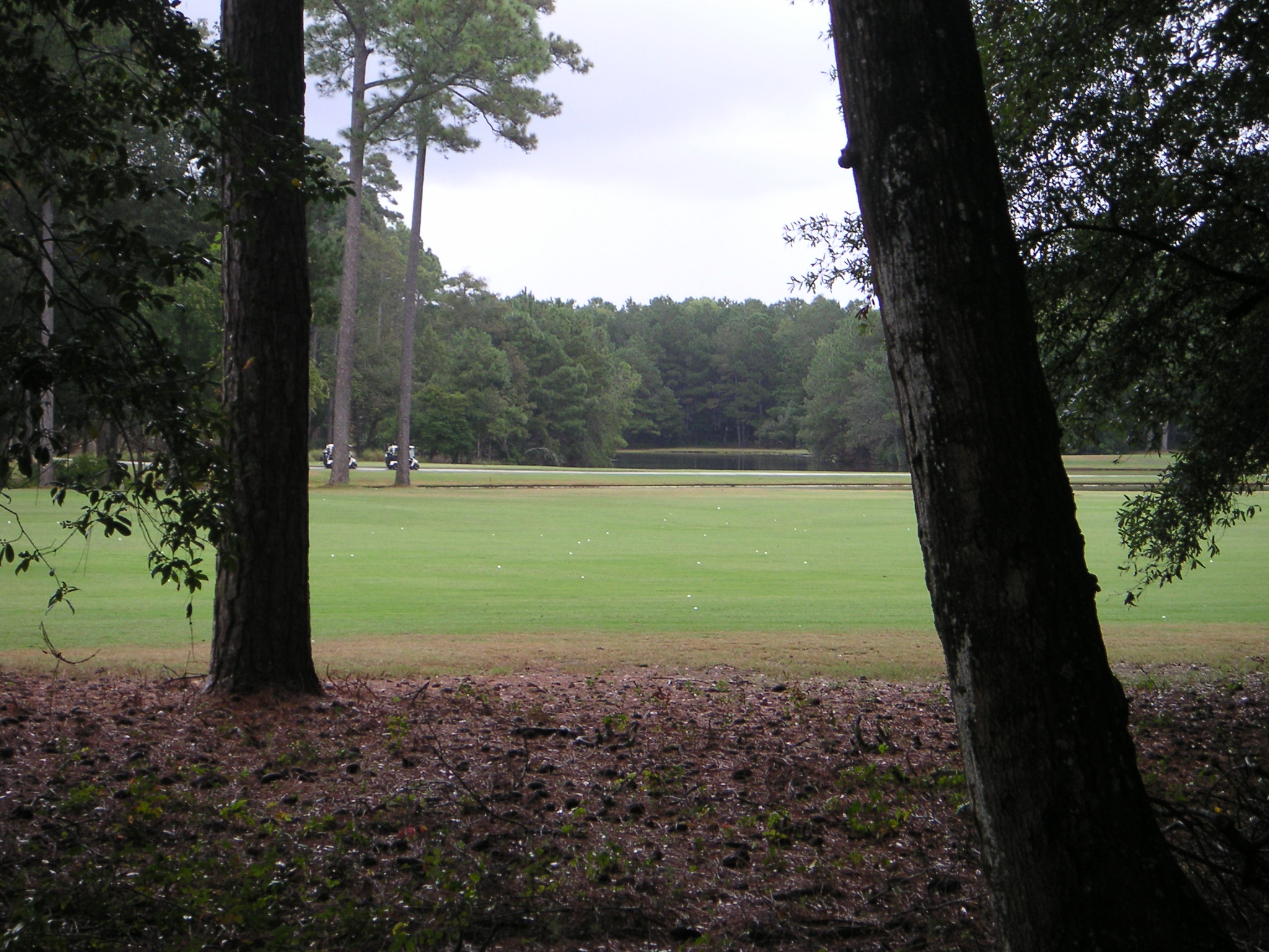 10th Tee & Water Hazard